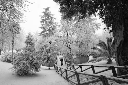 Madrid's Retiro Park in the snow